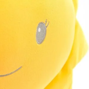 Kissen: Sonne